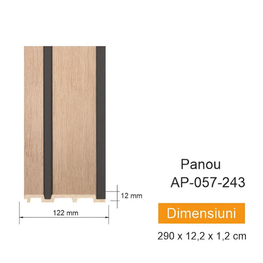 Panou de perete AP 057-243 Chisinau