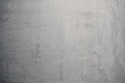 Finisaj decorativ Illusion Silver Moldova