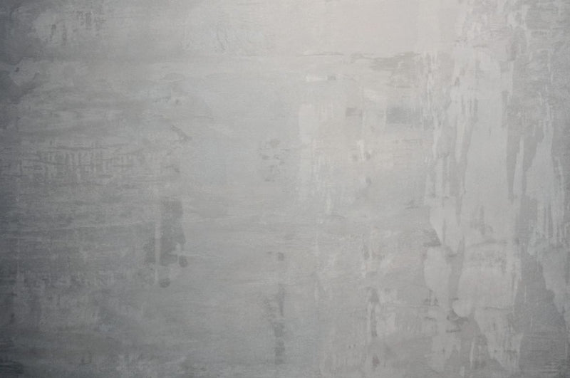 Finisaj decorativ Illusion Silver Moldova