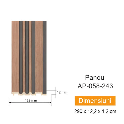Panou de perete AP 058-243 Chisinau