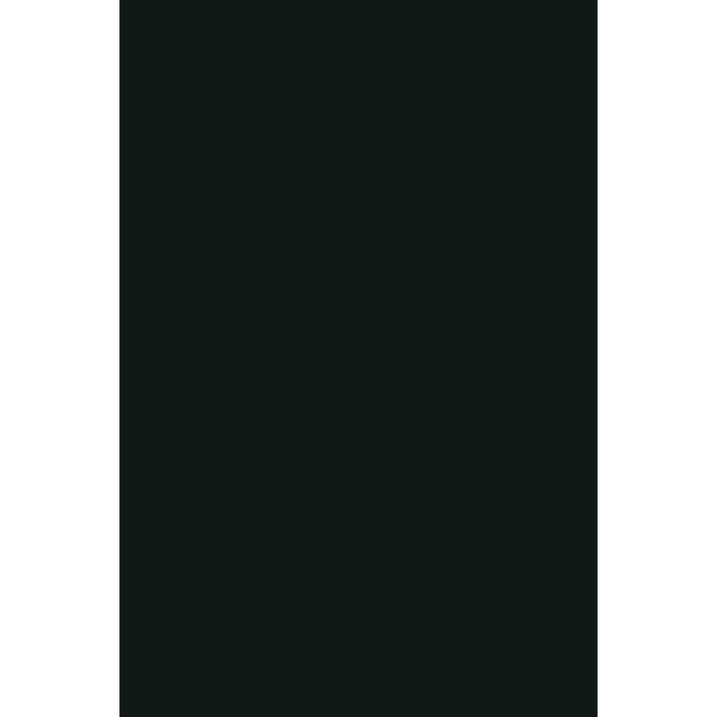 Panou decorativ SPC Black 0190 Chisinau