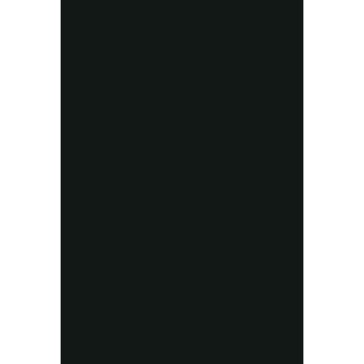 Panou decorativ SPC Black 0190 Chisinau