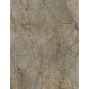 Rocko Rainforest Brown R104 PT