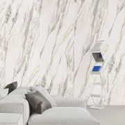 Стеновая панель SPC Marble Picasso F34250-2, Молдова